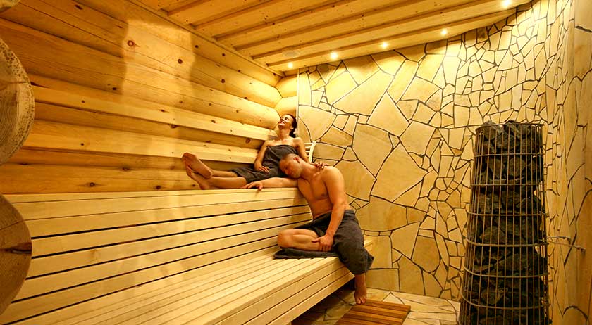 LéonWood Blockhaus Neu Finnland Sauna