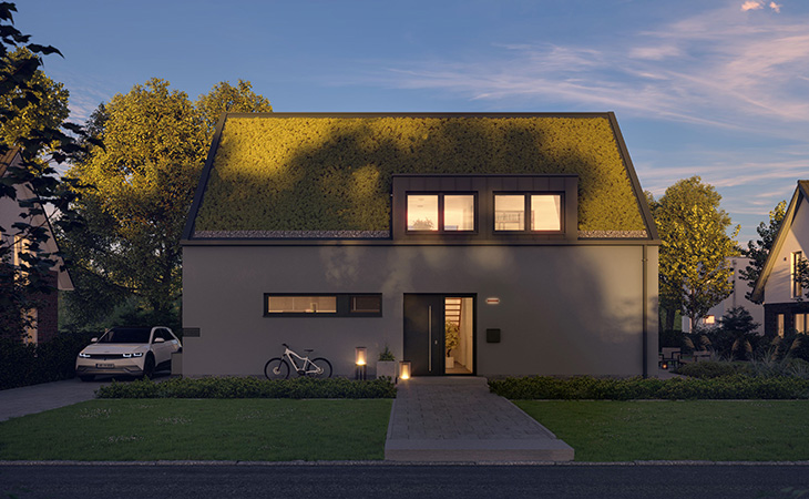 Haus mit Gründach | Foto: Viebrockhaus