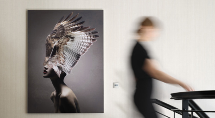 Präsenzmelder sorgt für Nachtlicht im Treppenhaus | Foto: JUNG