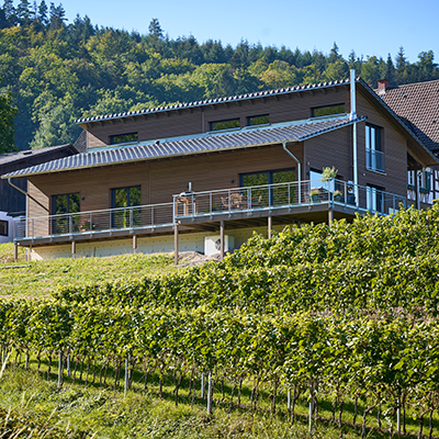 Design D200 Weinbergblick von Frammelsberger Holzhaus