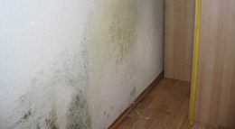 Wand mit Schimmelbefall