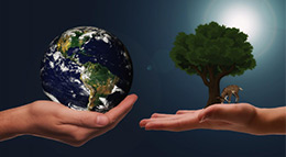 Symbolbild Das Eigenheim als Green Building