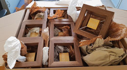 Gewinne Haus des Jahres 2026